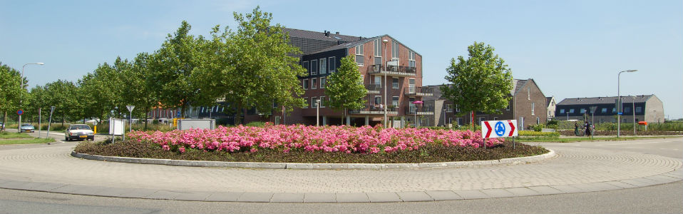 Zomer-7 image